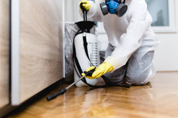 Beechwood, MS Pest Control Company