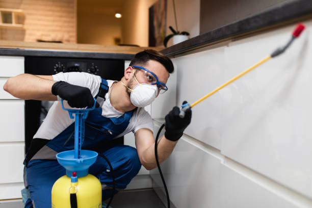 Best Residential Pest Control  in Beechwood, MS