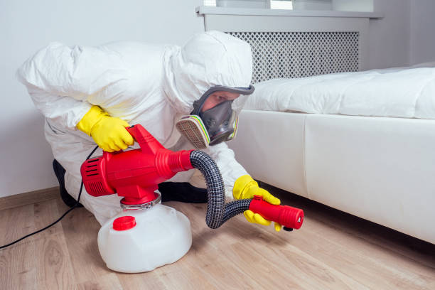 Best Insect Control  in Beechwood, MS