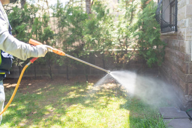 Best Rodent Control Near Me  in Beechwood, MS