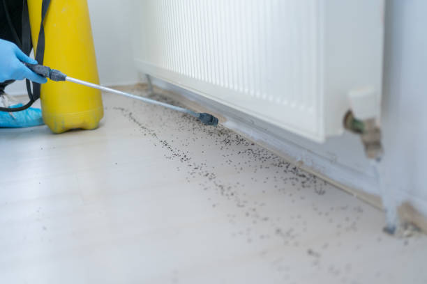 Best Commercial Pest Control Services  in Beechwood, MS